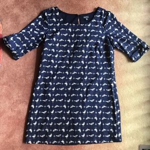 Quirky Bird print 1/2 sleeve dress